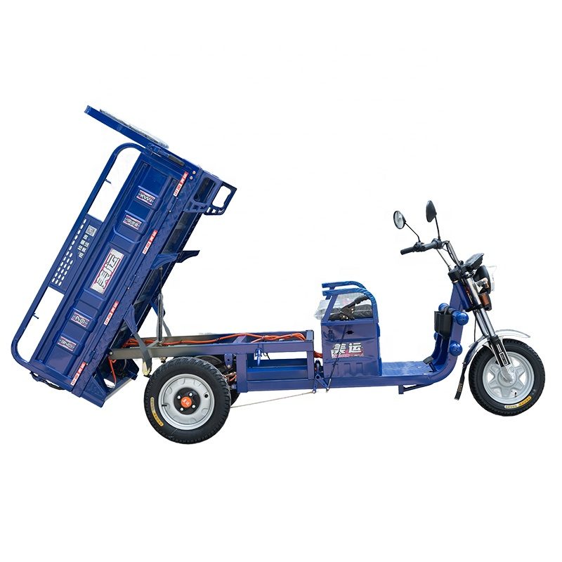 Electric cargo tricycle